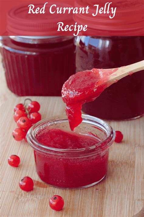 Easy Red Currant Jelly Recipe Without Pectin Vital Fair Living