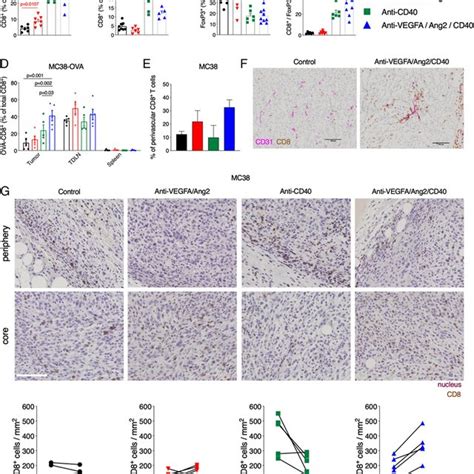 Functional Characterization Of Intratumoral Cd T Cells A Gsea Of