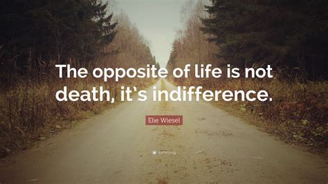 Apathy is death, but neutrality is good? Elie Wiesel Quotes (58 wallpapers) - Quotefancy
