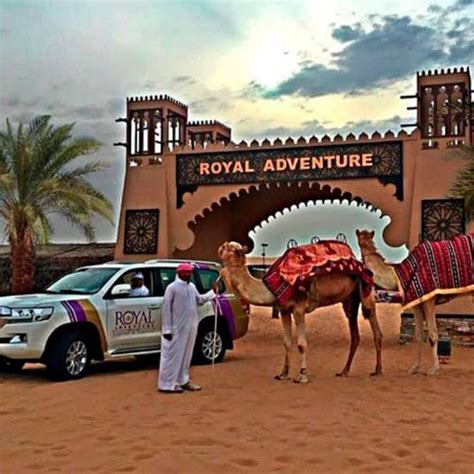 desert safari with vip majlis experience dubai tickets fever