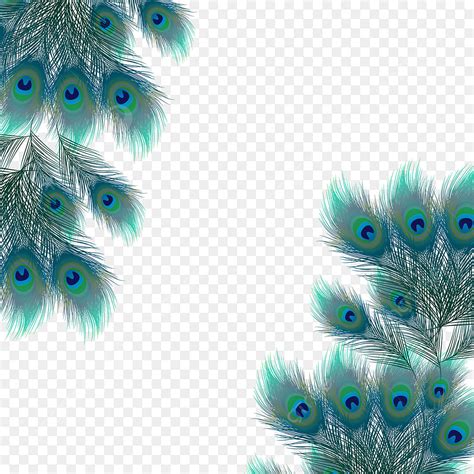 Beautiful Peacock Png Vector Psd And Clipart With Transparent