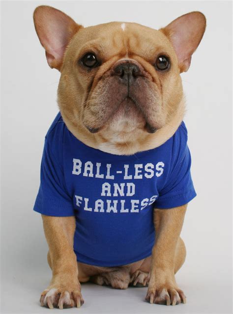 Ball Less And Flawless Dog Tee Club Huey