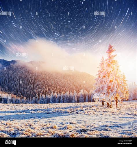 Starry Sky In Winter Snowy Night Fantastic Milky Way In The New Years