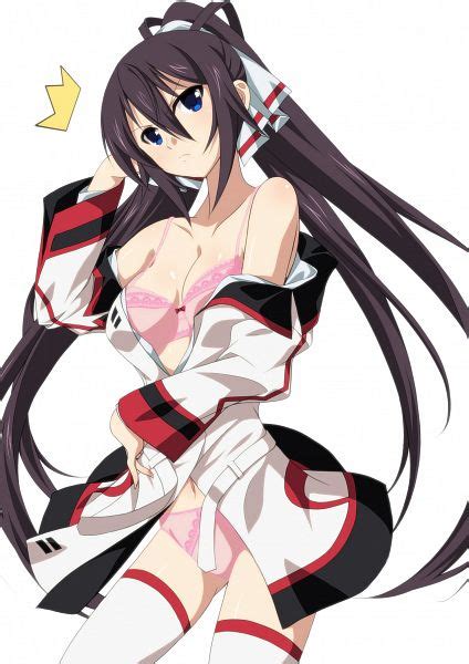 Shinonono Houki Infinite Stratos Image By Katsu Yuuki 921408