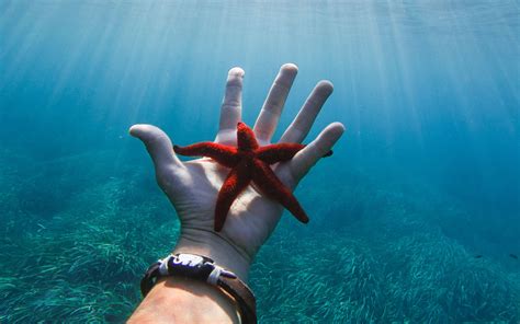 Download Wallpaper 1920x1200 Starfish Hand Water Underwater