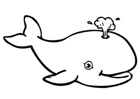 Coloring is a very useful hobby for kids. Whale Coloring Pages For Kids at GetColorings.com | Free ...