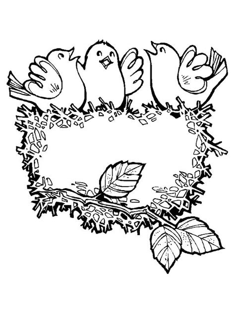 Learn to identify nests by size and shape. Empty Bird S Nest Coloring Page - Food Ideas