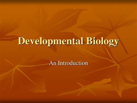 Ppt Developmental Biology Powerpoint Presentation Free Download Id