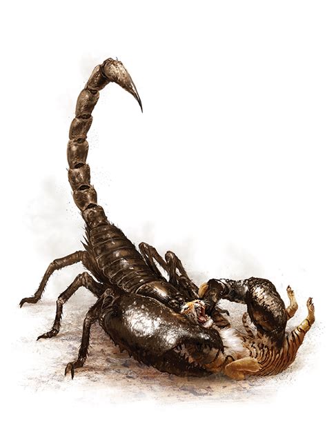 【bestiary 12】蝎子scorpion