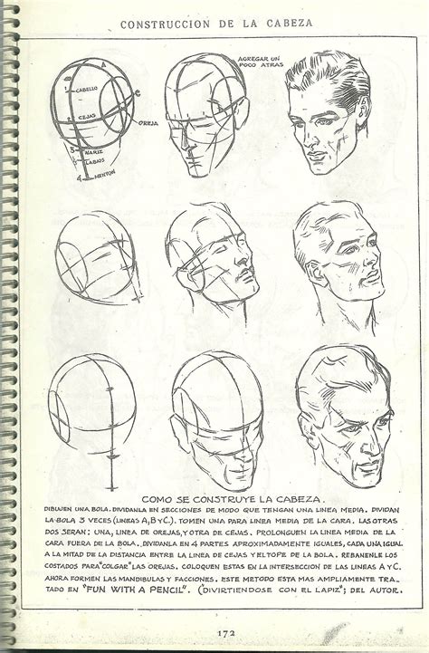 Drawing Heads Andrew Loomis Figure Drawing