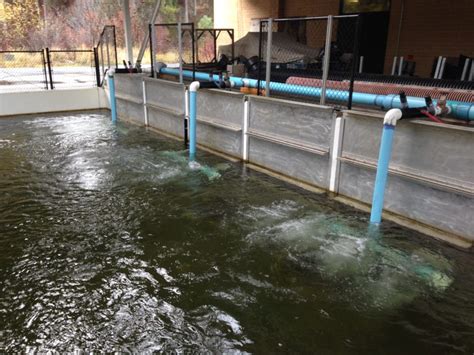 Aeration System At Fish Hatchery Provides Essential Oxygen During