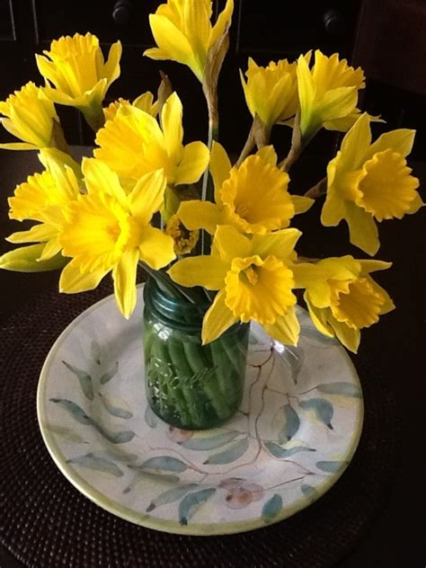 Happy Easter Daffodils My Yard Is Filled With These Love Flowers