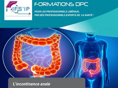 Formation Dpc Lincontinence Anale 28 Janvier 2021 Cregg