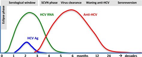 Fig 2 Hypothetical Time Course For Hcv Virological And Serological