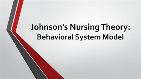 Solution Nursing Theory Of Dorothy E Johnson Behavioral System Model Studypool
