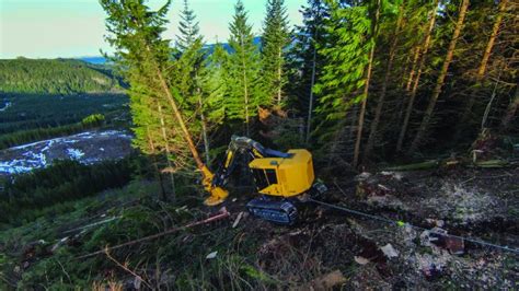 Tigercat Launches New E Series Compact Tail Swing Feller Buncher