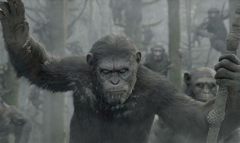 The Evolution Of Planet Of The Apes Film The Guardian