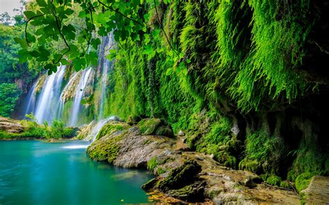 Wallpaper Tropical Forest Waterfall Hd 4k Nature