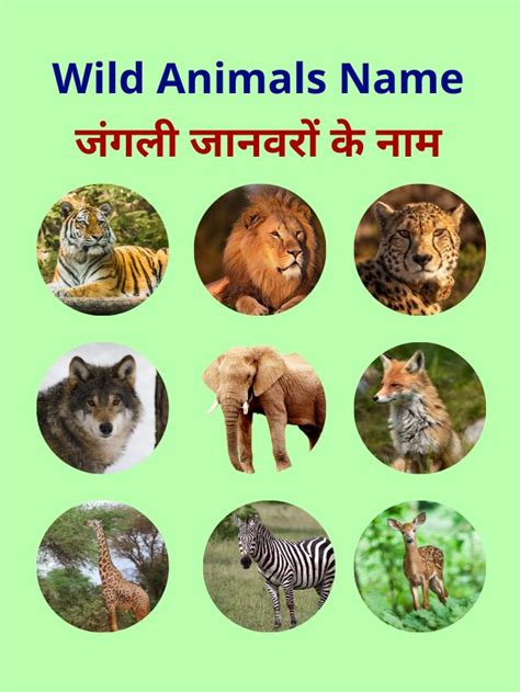 10 Wild Animals Name In Hindi And English 10 जंगली जानवरों के नाम