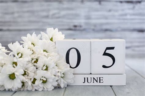 June 5th Calendar Blocks With White Daisies Stock Photo Image Of