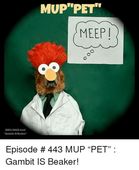 25 Best Memes About Beaker Muppet Beaker Muppet Memes