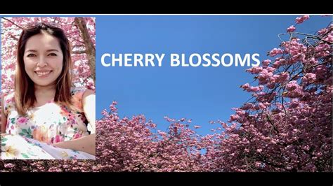 Cherry Blossoms Pinay In Scotland Youtube
