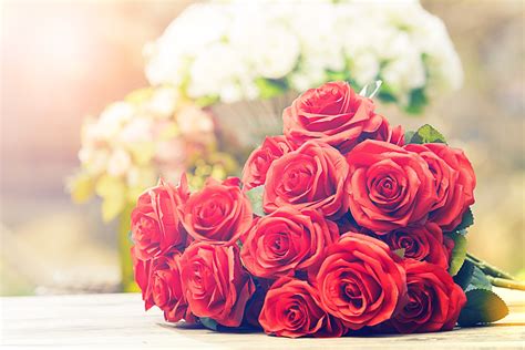 tổng hợp 50 hình nền hoa hồng đẹp và lãng mạn nhất thế giới