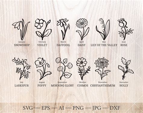 Birth Flower Svg Bundle Birth Month Flower Outline Drawings Etsy