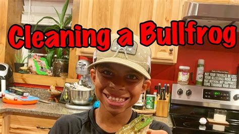 Cleaning A Bullfrog Youtube