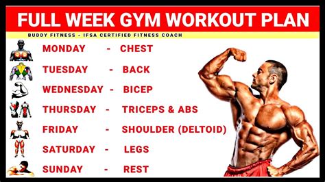 Full Week Gym Workout Plan Week Schedule For Gym Workout Buddy