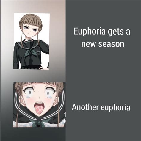 Hey Did You Guys Hear There Is A New Season Of Euphoria Ranimemes
