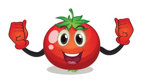 Tomato Stock Vector Image By ©interactimages 13620816