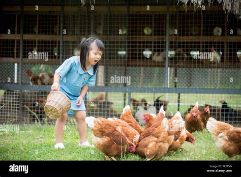 Happy Little Girl Feeding Chickens In Front Of Chicken Farm Summer