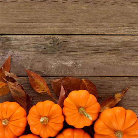 Autumn Pumpkins And Leaves Border On Rustic Wood