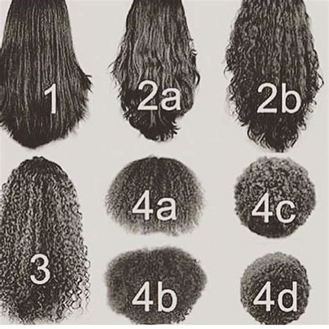 Curl Patterns Natural Hair Styles Curly Hair Styles Natural Hair Types