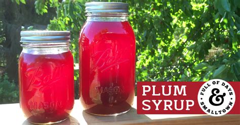 Easy Homemade Plum Syrup Recipe For Canning 2024 Atonce