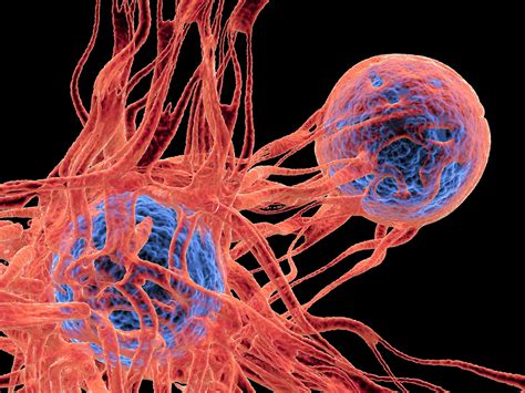 We Can Now Customize Cancer Cures Tumor By Tumor Mit Technology