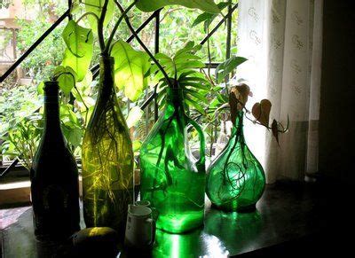 Money plant decoration ideas in house if you like this video plz subscribe our channel like share comment watch my another. Borrowed this idea n now i have money plants in beautiful ...