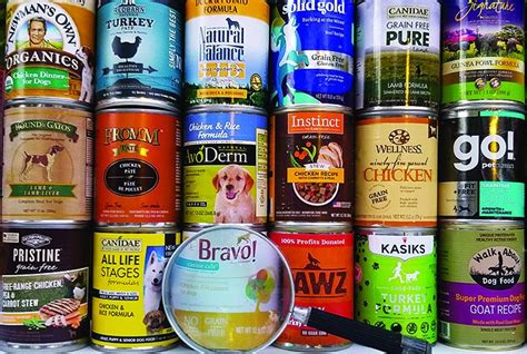 30 Best Canned Dog Foods For A Good Health In 2021