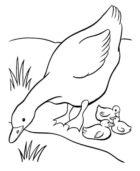 bluebonkers free printable easter geese coloring page sheets 21 easter mother goose and her