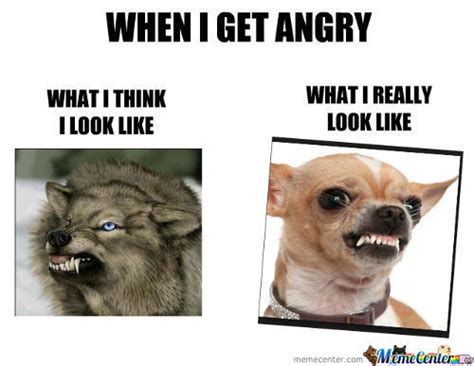 Memes Angry Face Image Memes At