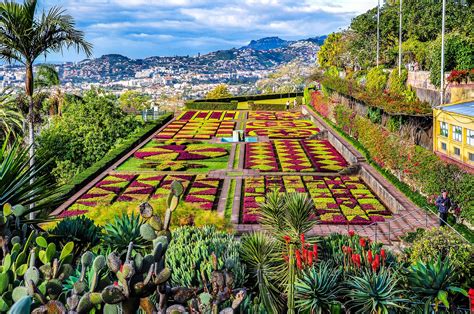 Maybe you would like to learn more about one of these? Madeira Tipps - Die vielfältige Blumeninsel | Holidayguru.ch