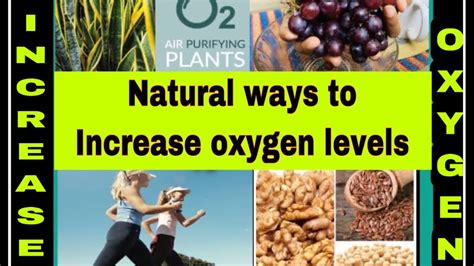 How To Improve Oxygen Level Naturally In Your Body Healthy Lifestyle