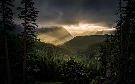 Download Wallpaper 3840x2400 Mountains Rays Forest Fog 4k Ultra Hd