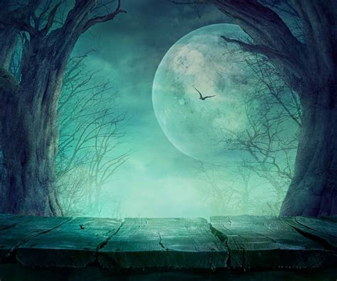 Eerie Night With Bat Dry Tree Background For Halloween Backdrops
