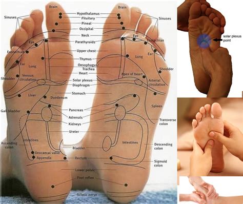 Reflexology Pictures