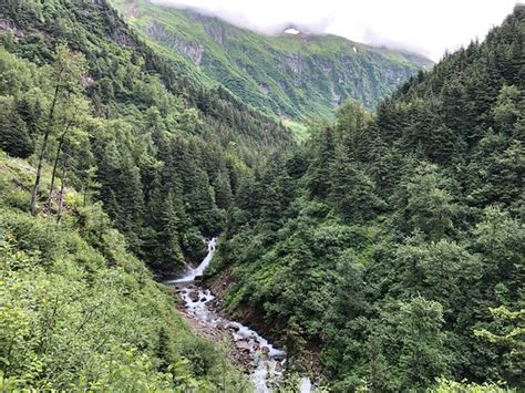 Mt Juneau Trail 2020 All You Need To Know Before You Go With Photos
