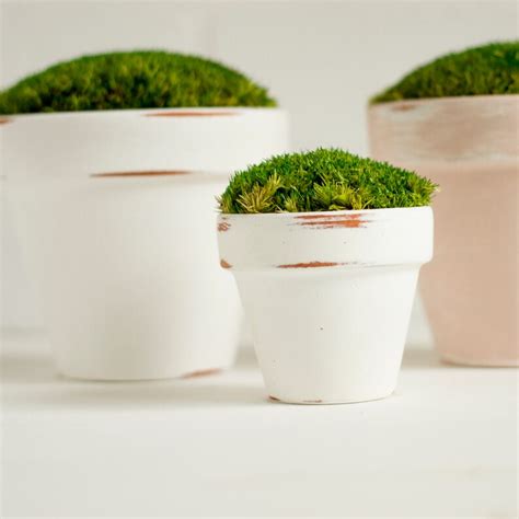 Mood Moss Planters White Distressed Pots Preserved Moss Etsy