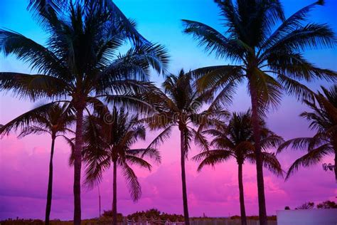 Miami Beach South Beach Sunset Palm Trees Florida Miami Beach South