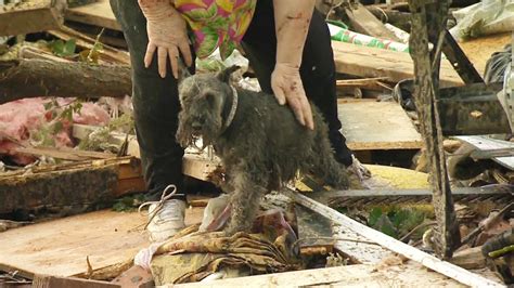 Okla Tornado Survivor Finds Dog Buried Alive Under Rubble Youtube